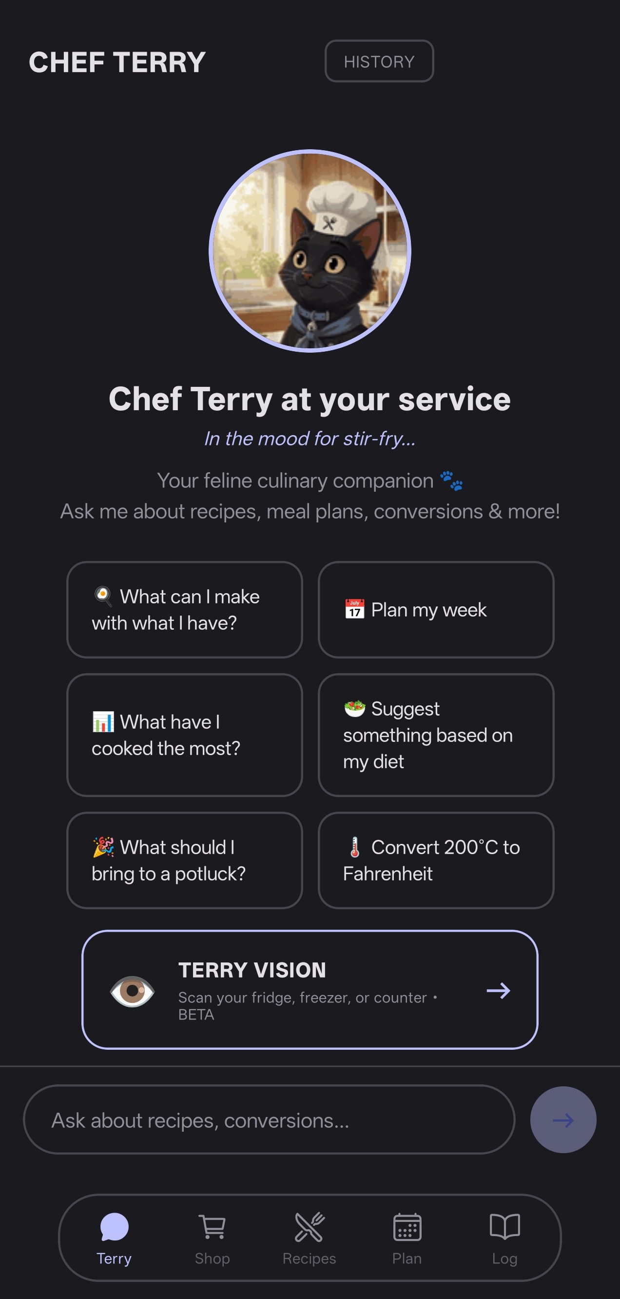 Chef Terry home screen with cat mascot, quick action buttons, and Terry Vision