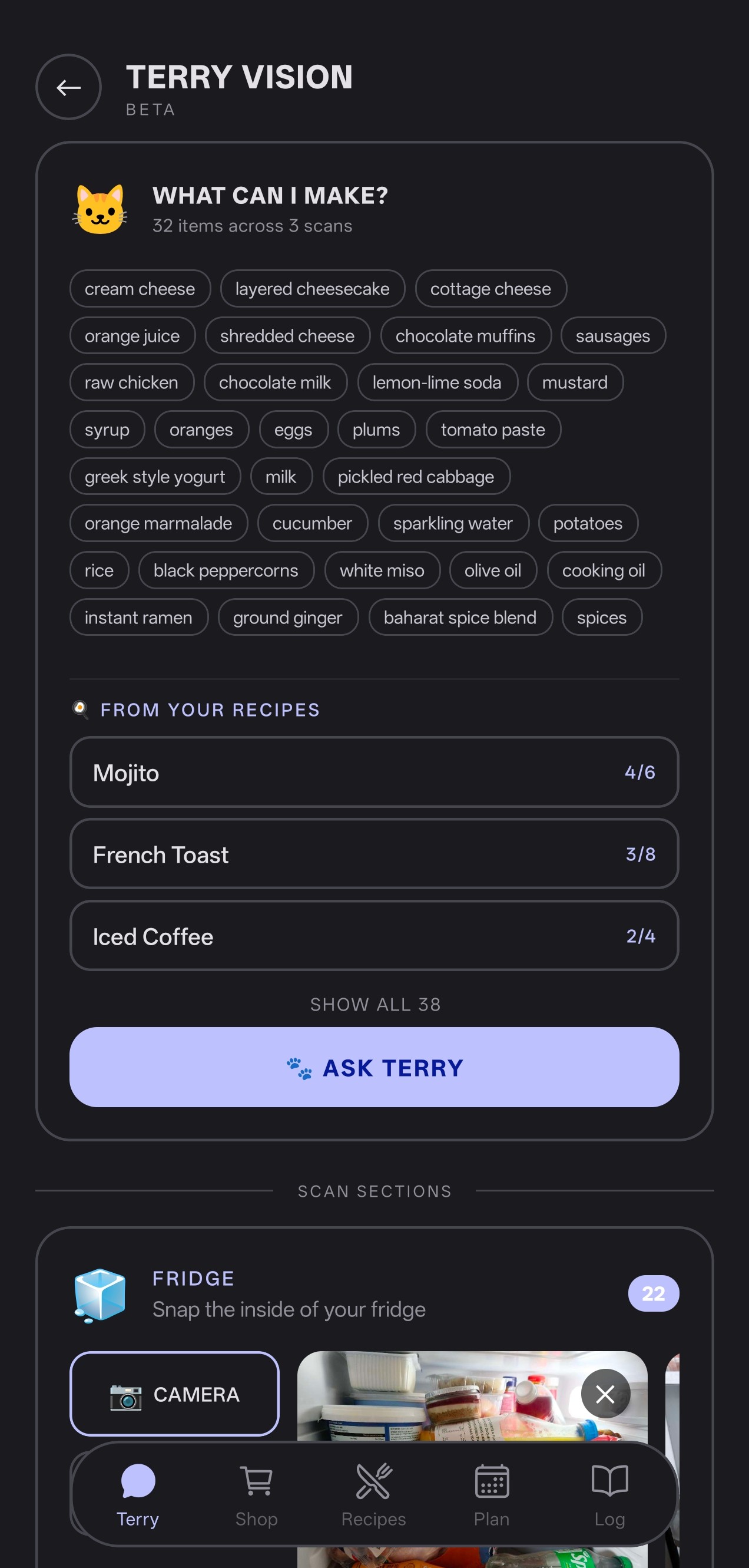 Terry Vision showing scanned fridge ingredients and recipe matches